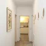 Casa Tomas فارو